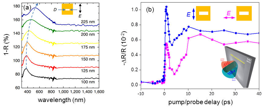 Figure 1. Plasmonic response of nano-slit array metamaterials fabricated on topological insulator semiconductor.